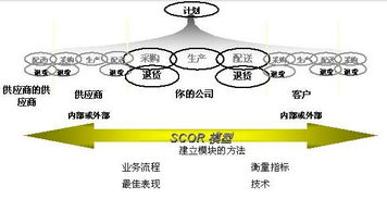 集成供應鏈 軟件開發視角下的體系重構與價值創造